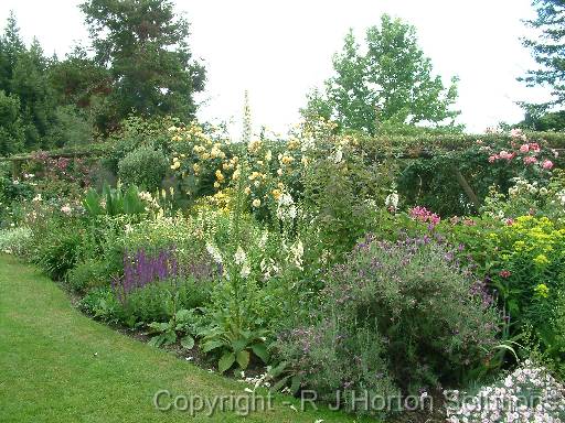 Perennial border 